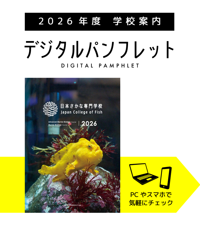 デジタルパンフレット