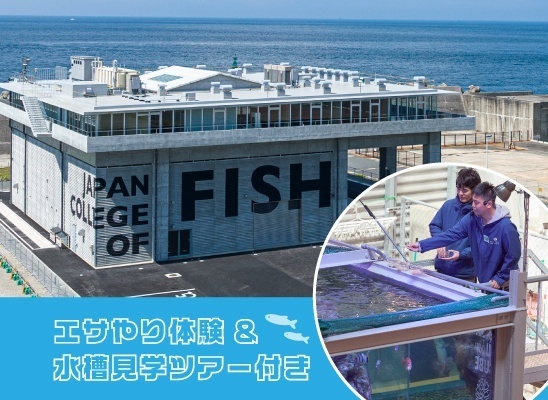 校舎見学会 (エサやり体験&水槽見学ツアー)