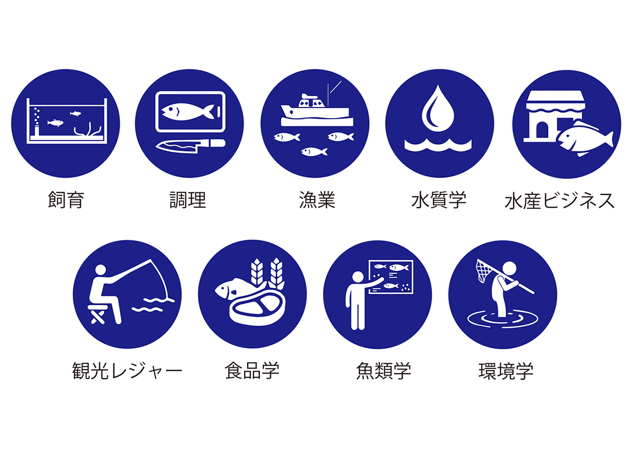 日本初、さかなを総合的に学ぶ専門学校です