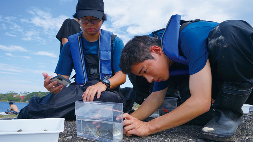 常にさかなに寄り添う、実習中心の学校です