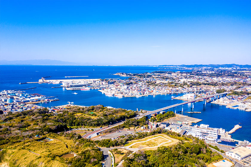 最適な環境でさかなを学びます