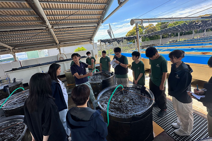 プロの現場とつながる“リアルな学び”